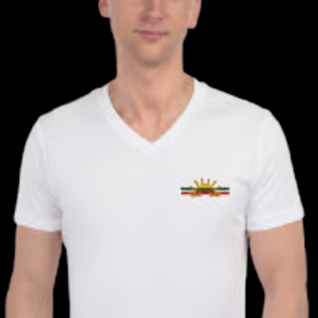 Unisex Short Sleeve V-Neck T-Shirt